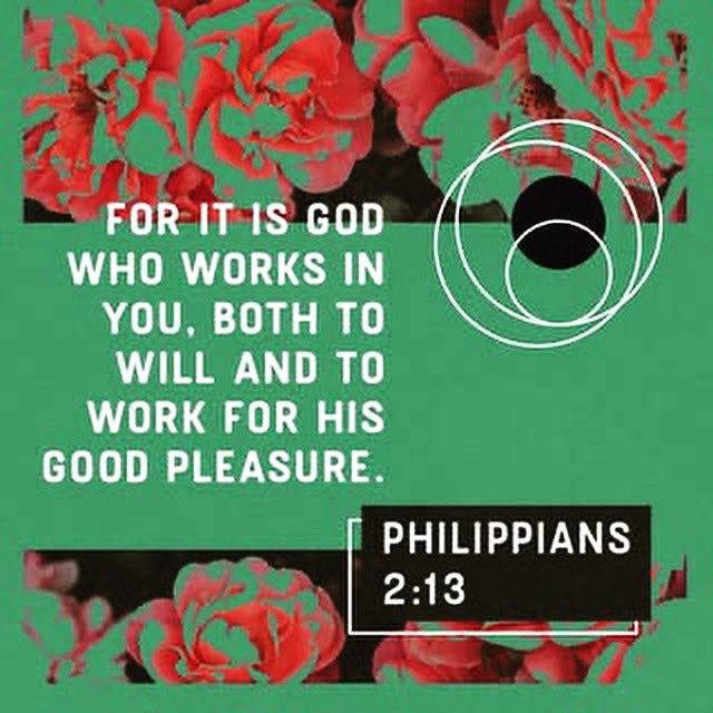 AshevilleFence's tweet image. We pursue knowing God more and a life of holiness, but it is God who empowers and works  in us to be truly changed.
#godisholy #godtransforms #jesuschrist #setapart #avlfence