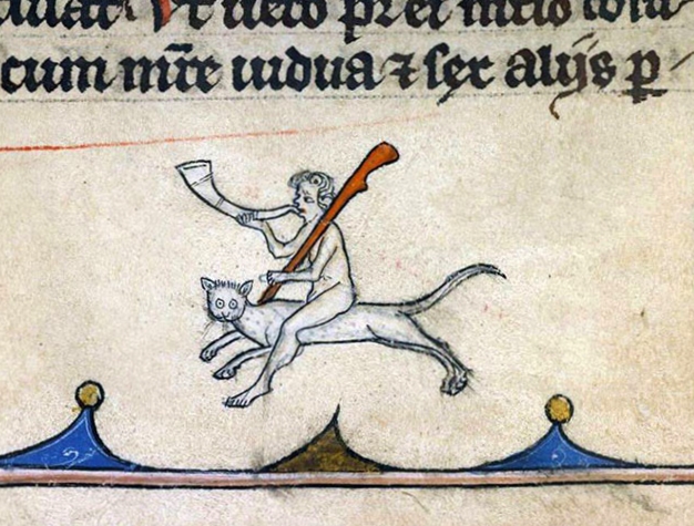 A black cat with one white hair was considered most auspicious; any who could pull this hair without being scratched would receive great riches. One Breton belief warned against swallowing a cat hair as it could turn into a snake in and cause a most painful death. #FolkloreSunday