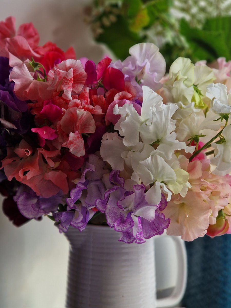 The gathering of #sweetpeas continues! #britishflowers