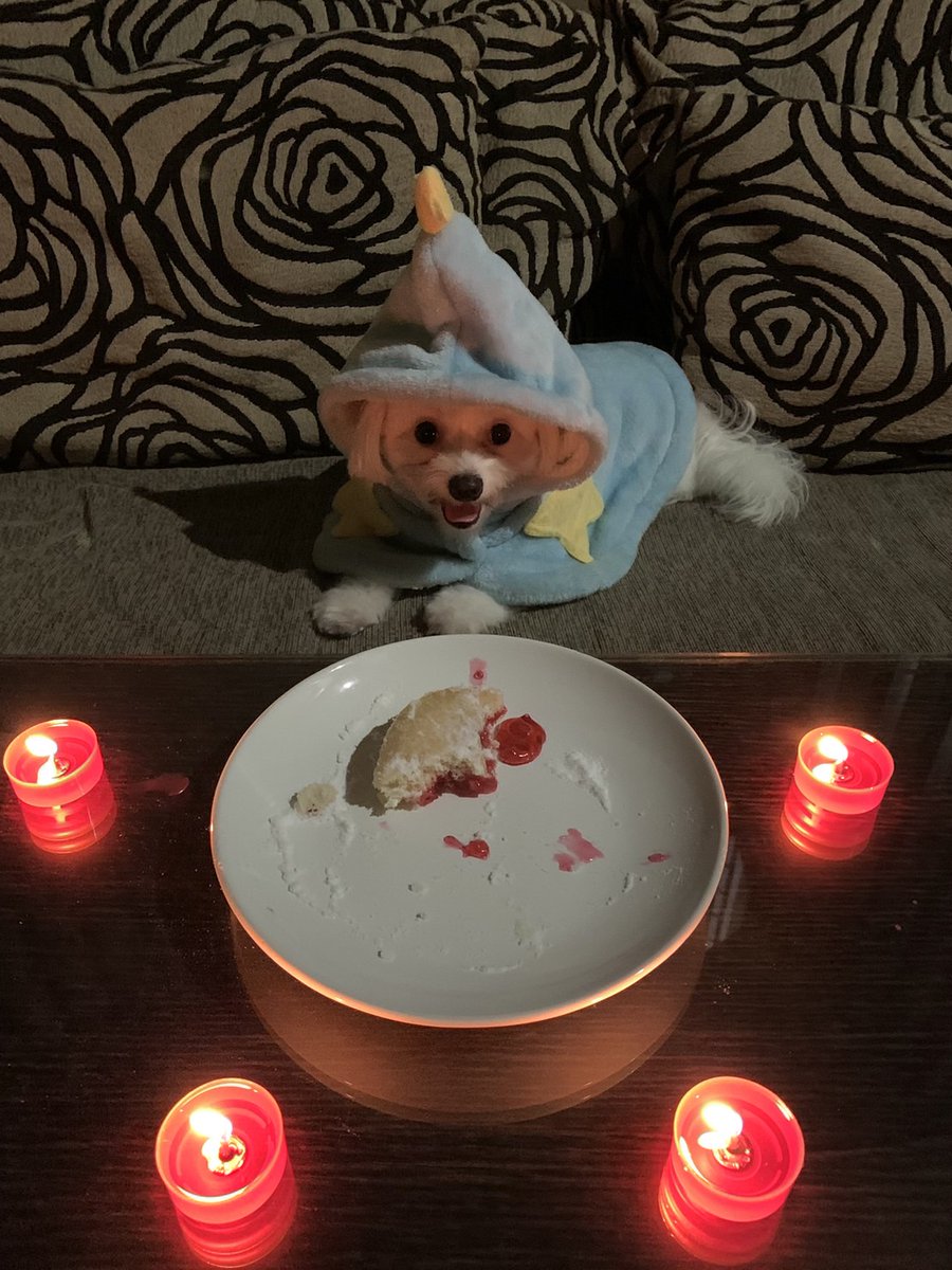 Lehnwaa's tweet photo. 🐶🍩🧙‍♂️ @theshadowhats 🧙‍♂️🍩🐶 https://t.co/9tMQcrwXeF
