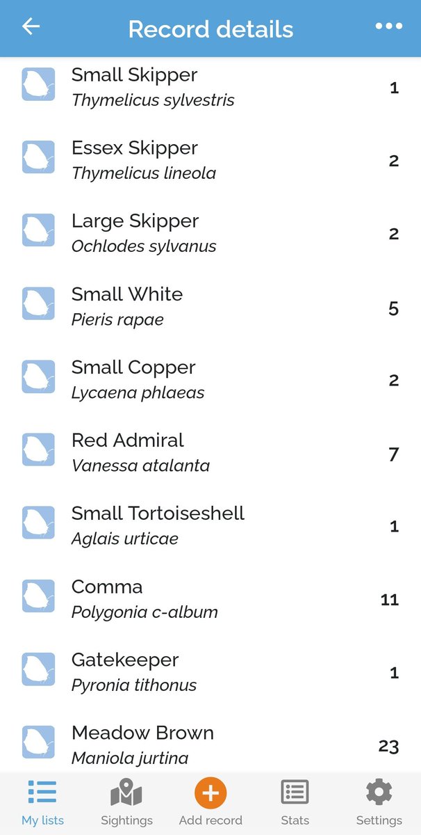 sconebirding's tweet photo. 12 butterflies on my #BirdTrack #CompleteList at @_BTO #NunneryLakes earlier: as listed, + Small Heath & Ringlet. Great to see so many Commas – anyone know if the '-album' bit of sci name refers to part of wing where the white mark is?
📷 Small Copper, Lesser Pearl (Pyralid moth) https://t.co/i2I14gy4dc