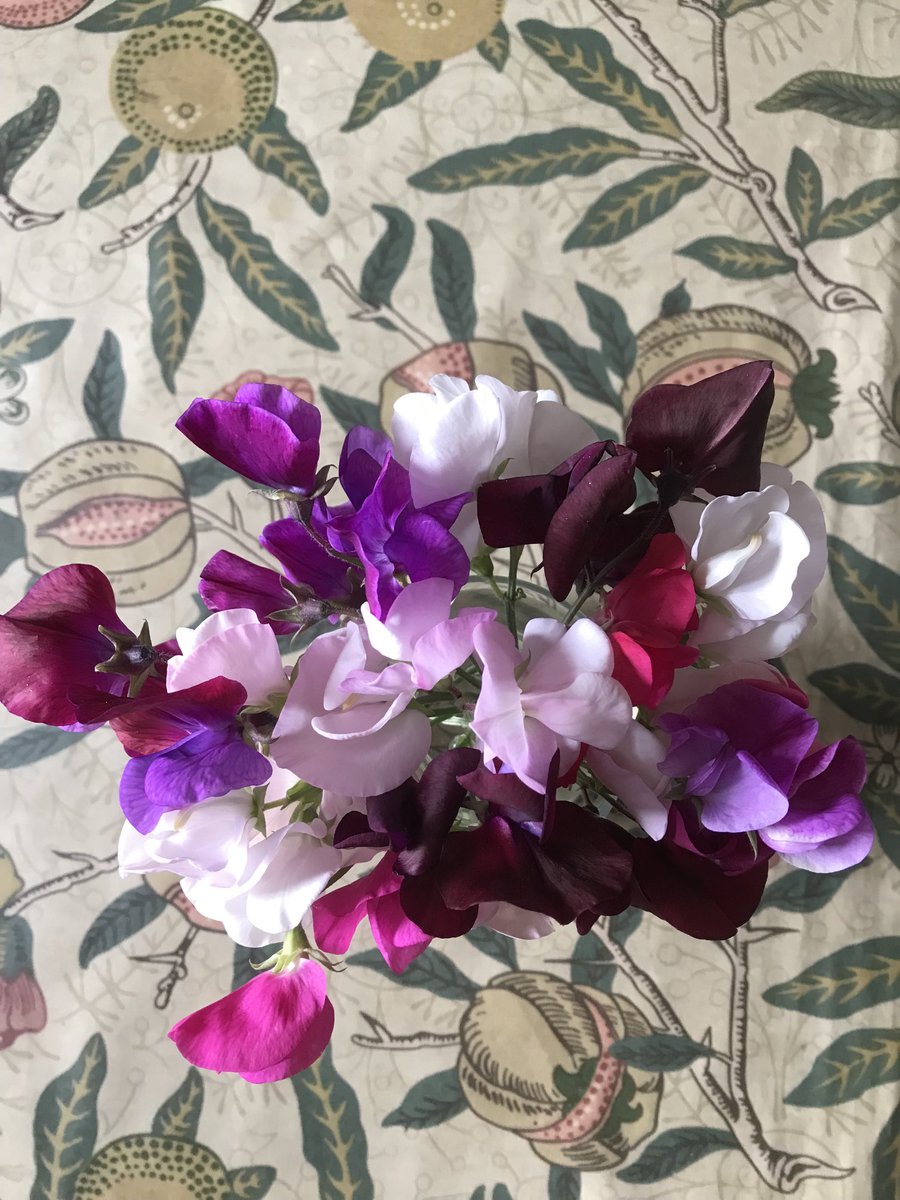 Joanna Hickson tweet media