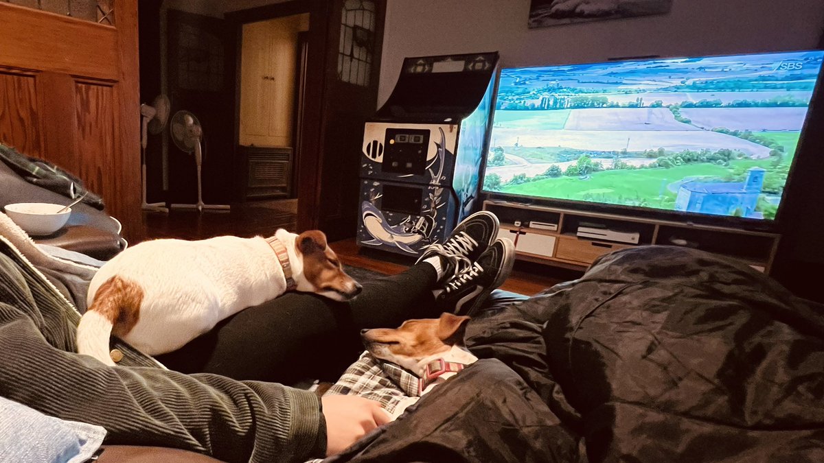 Out like a light. #CouchPeloton #tourdogs