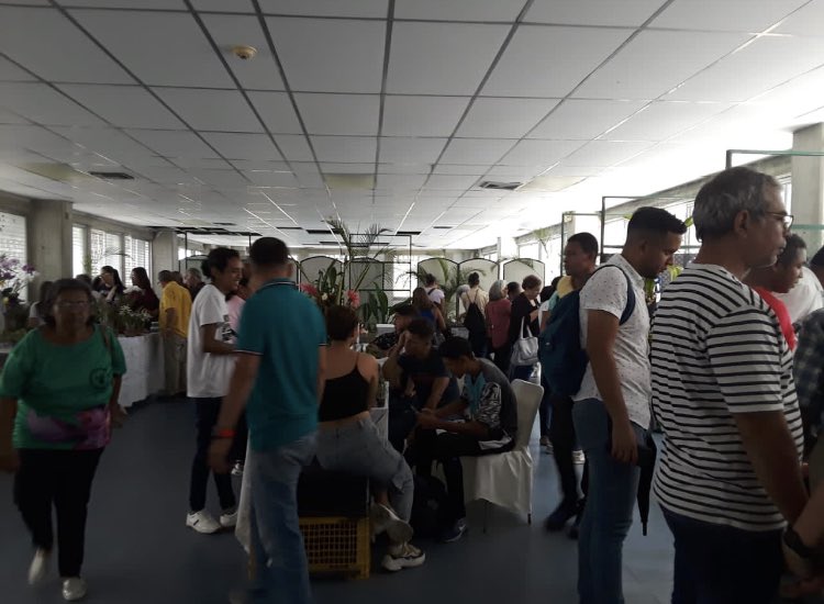 MIZAUCV's tweet photo. Hoy 2/07/2923 sigue LIII Exposición de Orquídeas, 8:30am, en nuestras instalaciones. Apoyemos a la Sociedad de Cultivadores del Edo. Aragua. Bella oportunidad para pasar un rato en familia y disfrutar de estas bellezas vegetales. También hay cactus y suculentas. Bienvenidos. https://t.co/vJ8Fp0zkMR