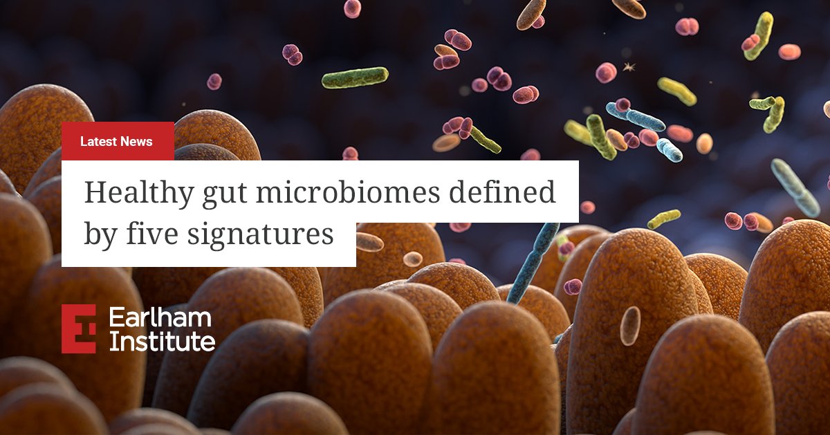 EarlhamInst's tweet photo. 💬 “We think these signatures could become a valuable tool to detect aberrant conditions in microbiomes, assess disease progression and understand the effectiveness of potential treatments.”

📰 Healthy #gut #microbiomes defined by five signatures
https://t.co/l2G3KwtDpq https://t.co/ZRlAUGfVq6