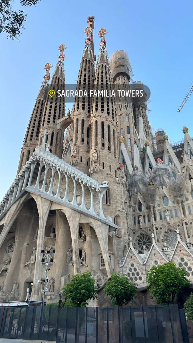 Mekita Purkett tweet media