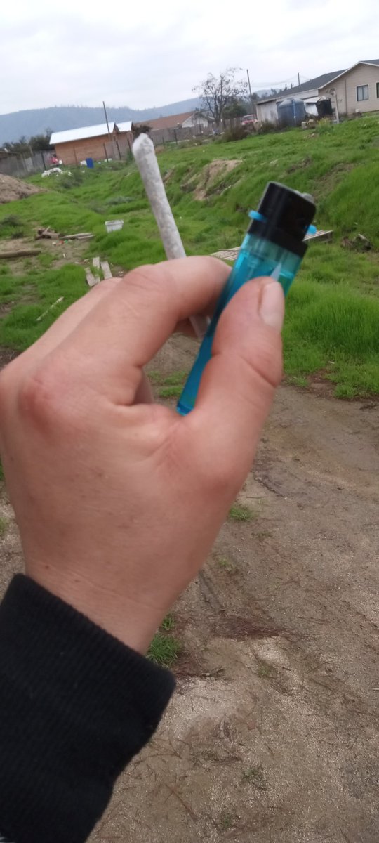 CarlosA67333602's tweet photo. Hoy se va al trabajó un poco más tarde en familia
#WEEDNosDias https://t.co/Hsq9M8HP4F