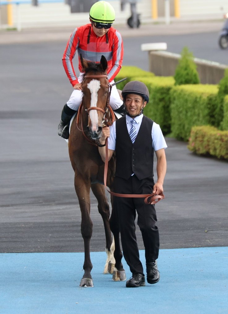 hozhoz_k's tweet image. このこ🐴が新馬戦で勝利しました!!
最後は差し切っての強い勝ち方👏(^^)
🥇おめでとうございます🎉🎊
担当さんﾒﾁｬｸﾁｬ嬉しそう
大輔くんも🏆絶好調✨👍
一緒に走ったみんな🐴もお疲れ様🍀

#ワンブランチ　#上原佑紀厩舎
#佐々木大輔騎手　ハービンジャー産駒
7/2 メイクデビュー函館