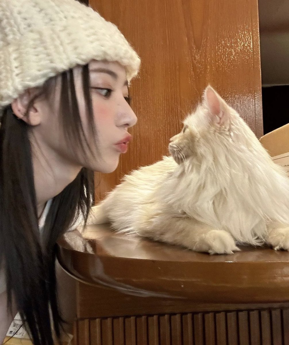 rsjs735's tweet photo. ルセラのオフライン特典会行ってきた！
さくちゃん、お顔は想像の半分位だったし目は想像の倍くらいだった。
緊張しすぎて途中つっかえちゃったけどそこは宮脇プロさすがで新しい話題振ってくれた。
あーかわいかったー
#LE_SSERAFIM #宮脇咲良 #sakumail
#会場で写真撮るの完全に忘れてた https://t.co/T8v9iCA5BL