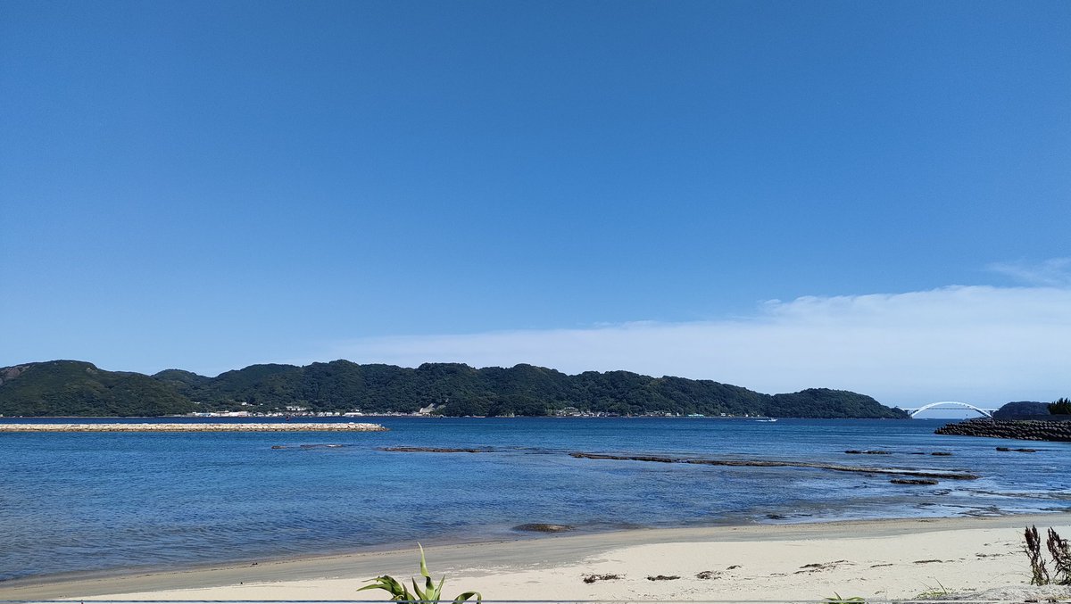 Apps_surf's tweet photo. 海ガメ泳いでた！！😳 https://t.co/jN3cjePL4C
