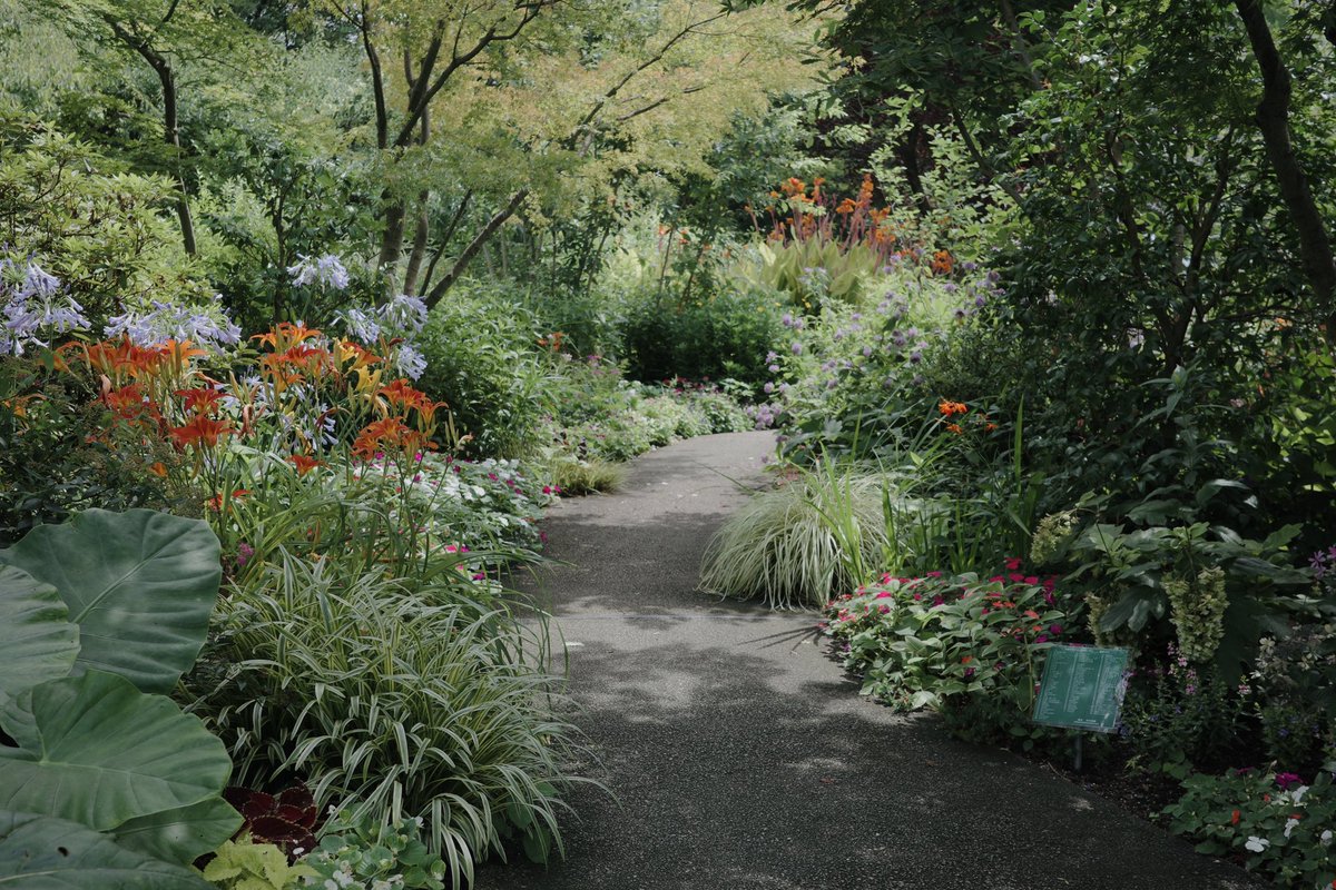 みさこみさこ🏳️‍🌈🏳️‍⚧️🇵🇸 tweet media