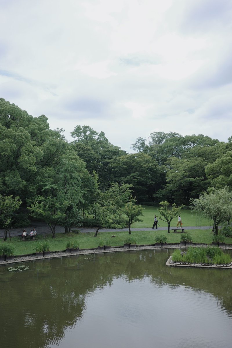 みさこみさこ🏳️‍🌈🏳️‍⚧️🇵🇸 tweet media