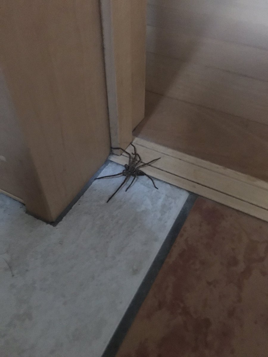 朝活ですか？？
業務頑張って下さいグンソー