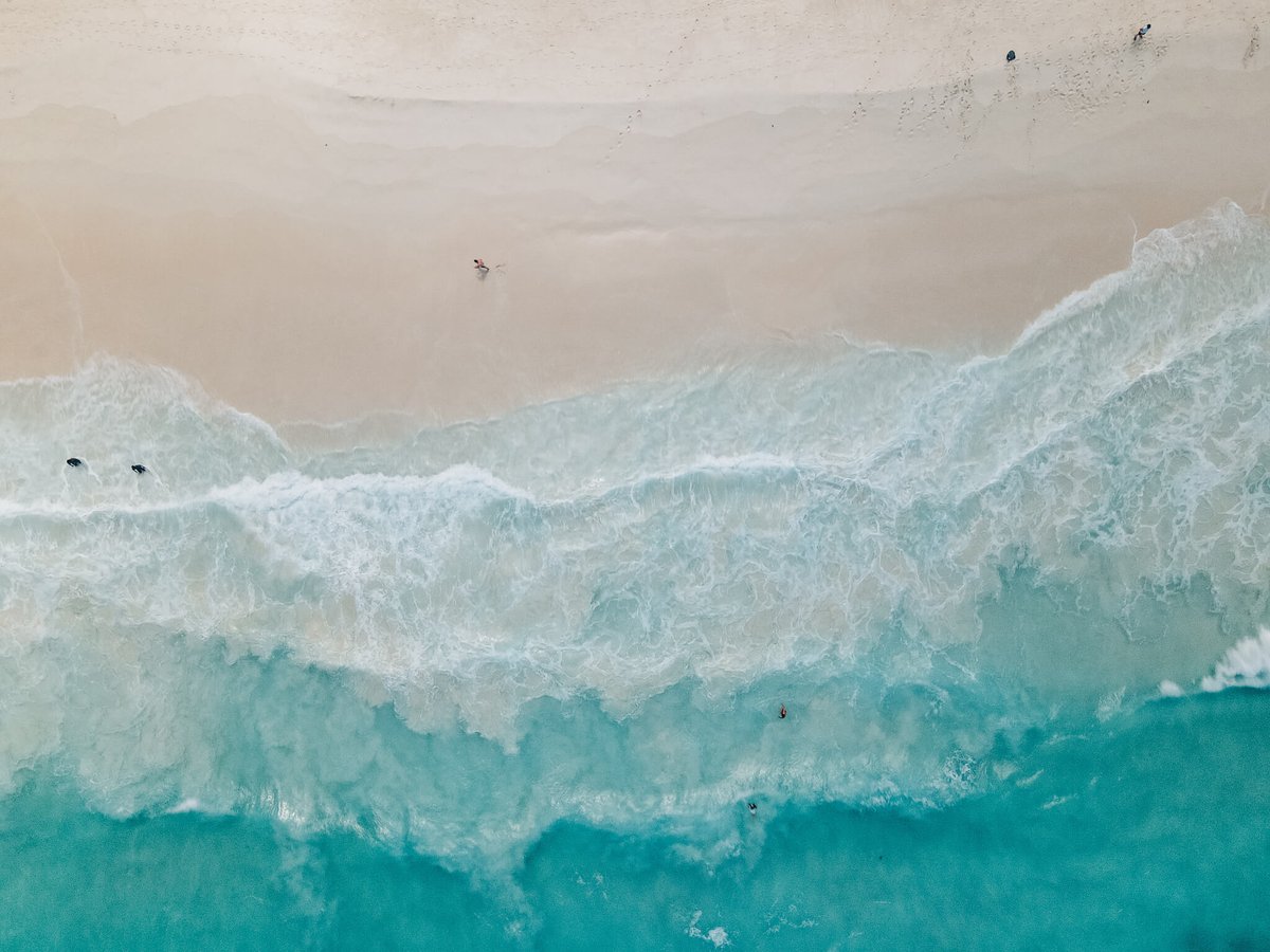 Liam Collens tweet media