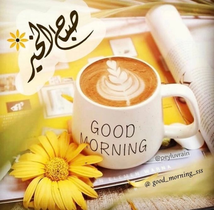مها (@maha99am99) on Twitter photo 