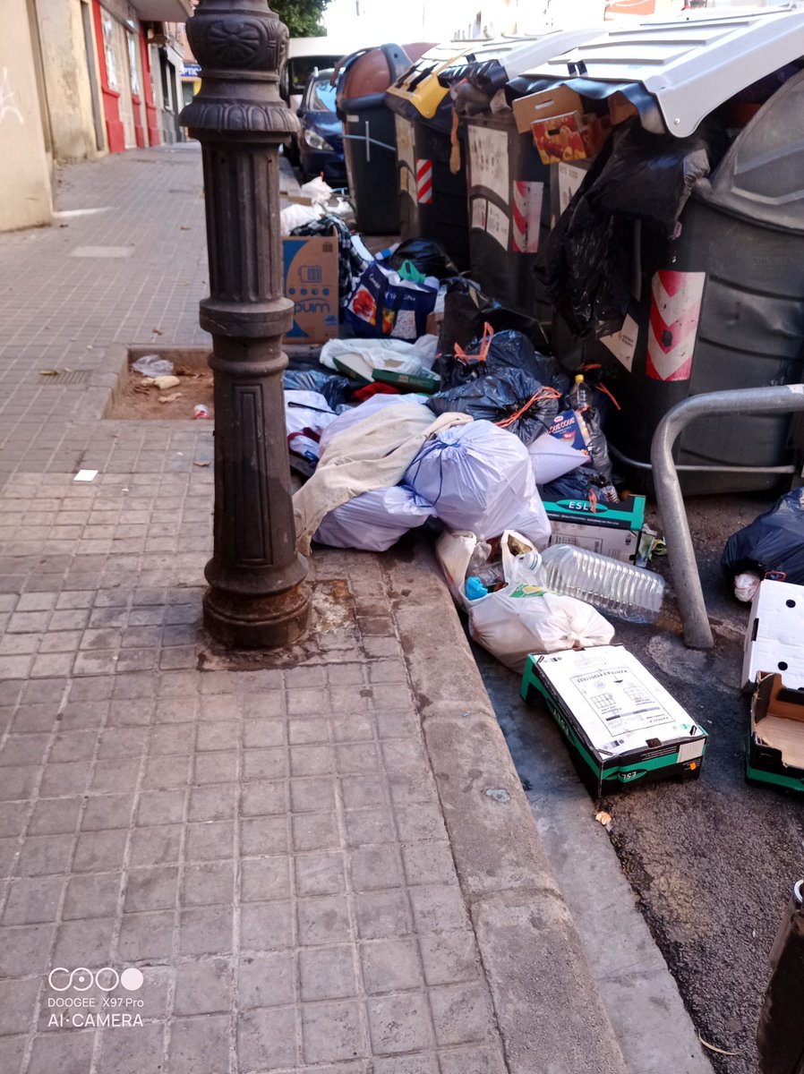 orriolsenlucha's tweet photo. @mjosecatala @JCcaballeroM Senyora Català així està hui Orriols hi han 13 fotografies més. Açò és tots els dies. Quan comenza al nostre barri el seu projecte de neteja. https://t.co/FeNSF95kAa