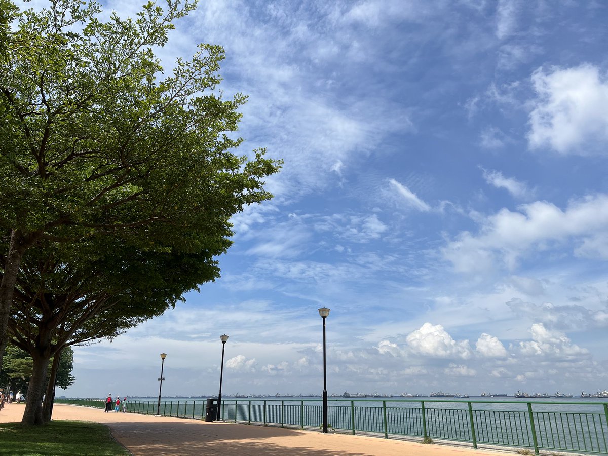 Yas_NSD's tweet photo. よし昨日夜たくさん寝られたから20km走しよう！と思い立ったものの、シューズの底が剥がれて後半はスコスコ言いながら走ることに…
あと暑くて心が折れたので、13kmくらいで終わりになってしまった
海沿い走るのは気持ちいいのでまた来週末やる！！ https://t.co/ax10iiNxMw