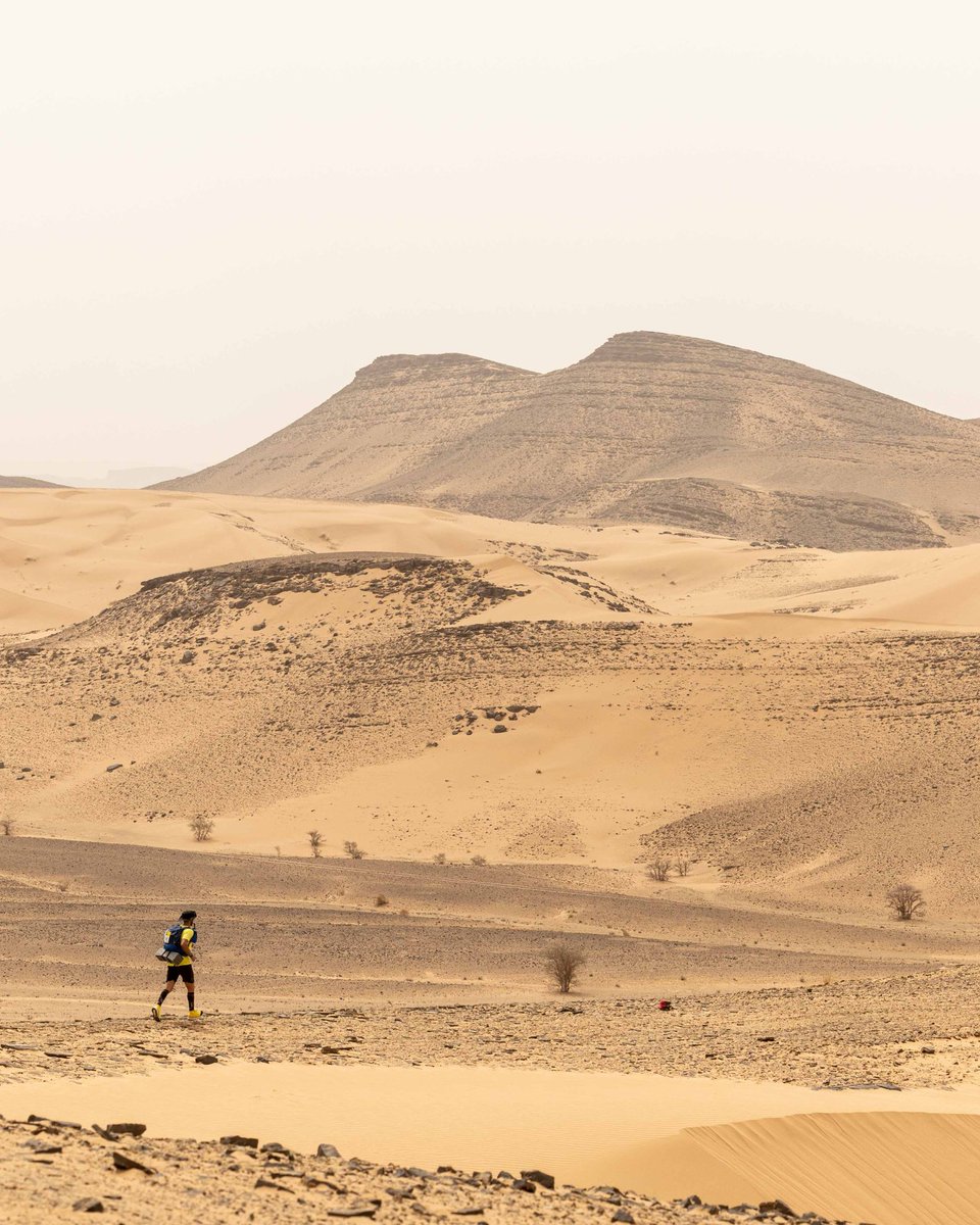 Registration for the 38th edition of the <a href="/marathonDsables/">MARATHON DES SABLES</a> is open 😍

#WAA #MDS #trailrunning