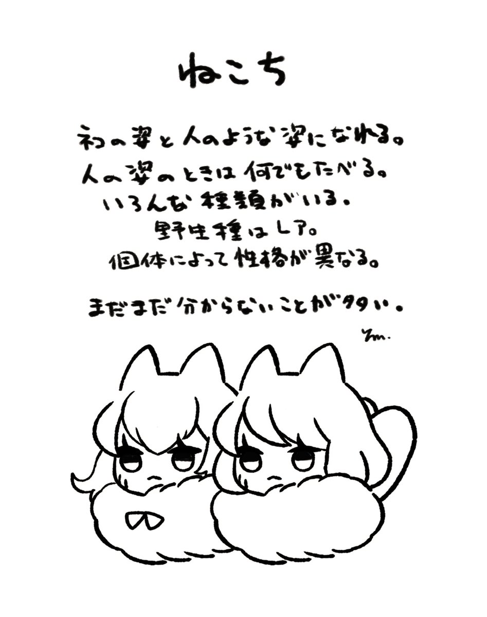 🐱🐱 