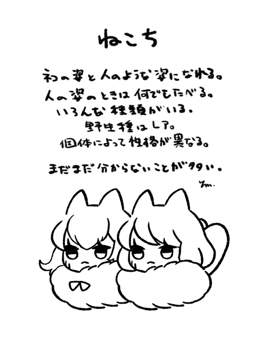 🐱🐱 