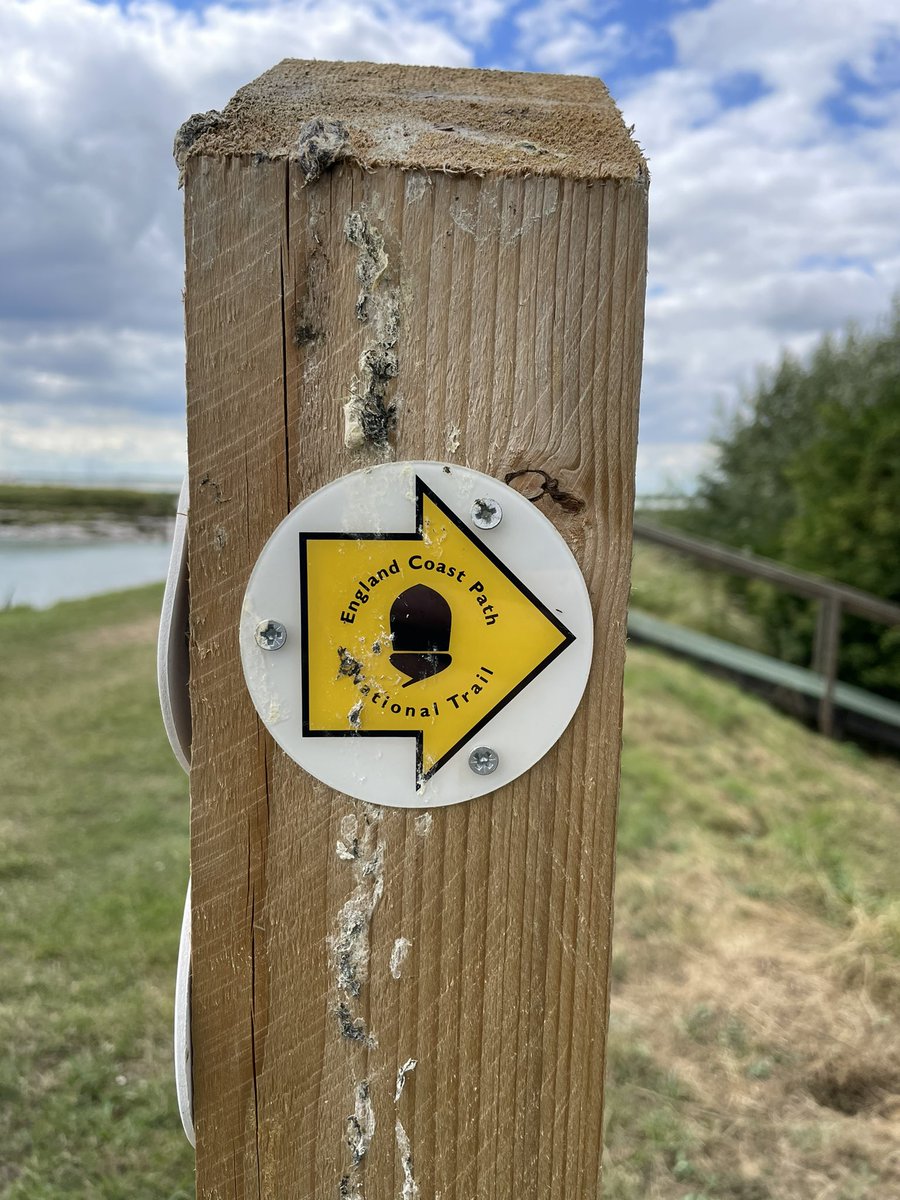 Steve Kjar (@kjar_steve) on Twitter photo When I’m not running, I like helping out. 
Races don’t happen without volunteers so help support the races you love. 
#saltmarsh75 #hareandtortoise #volunteer #hareandtortoise When I’m not running, I like helping out. 
Races don’t happen without volunteers so help support the races you love. 
#saltmarsh75 #hareandtortoise #volunteer #hareandtortoise