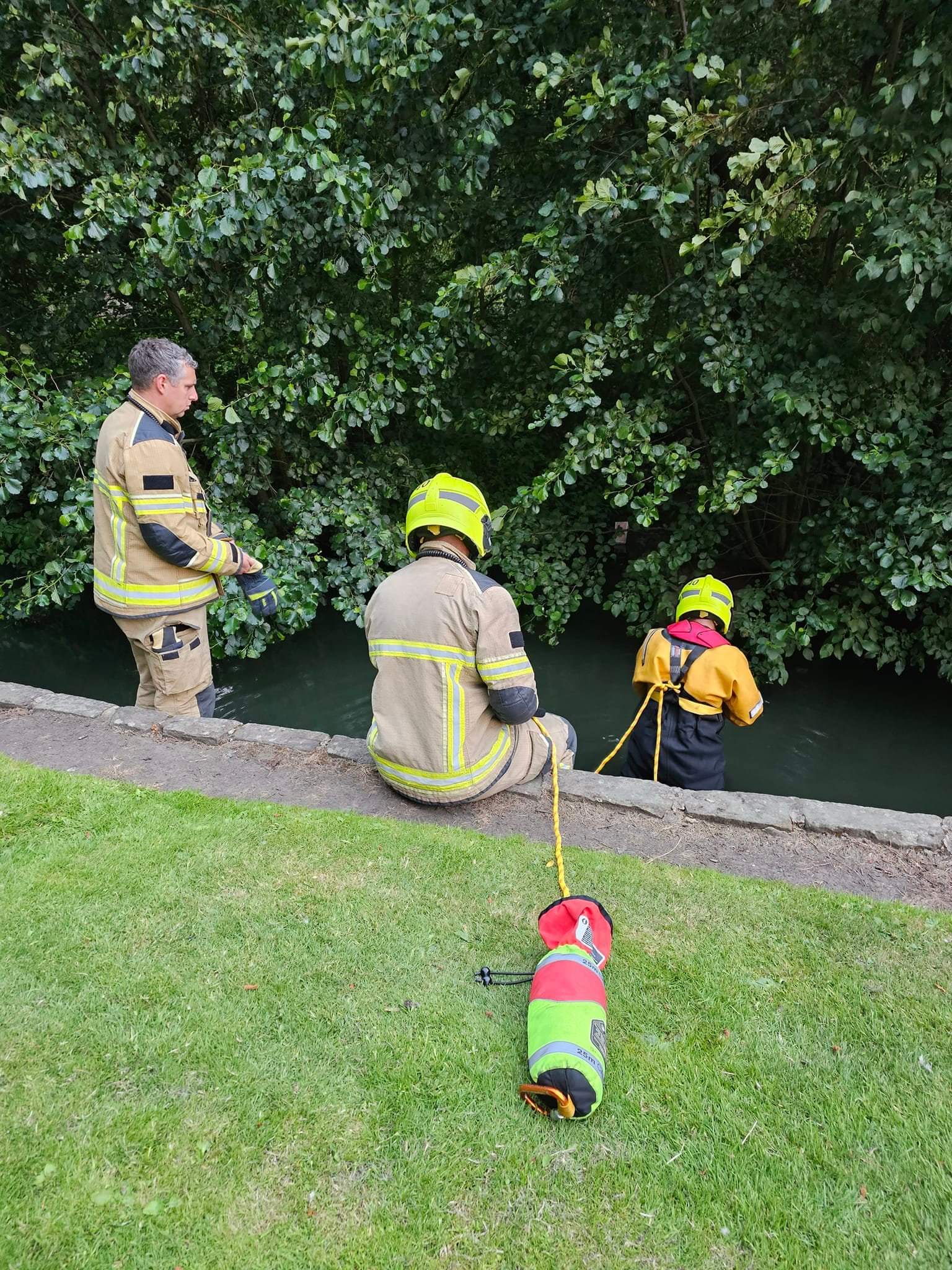 Bradford Cat Watch Rescue on Twitter "We have just been involved in possibly the worst rescue