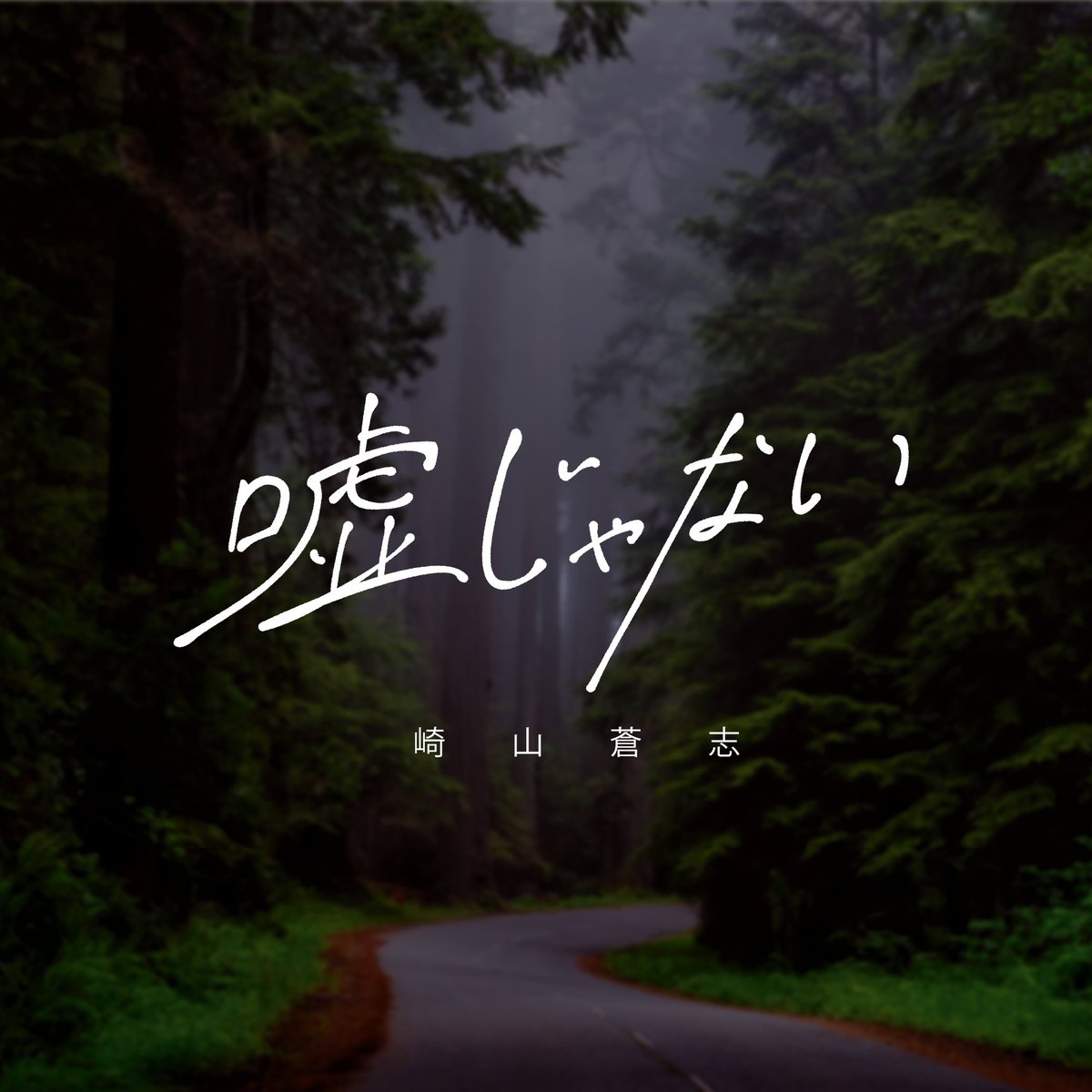 herajikanotsuno's tweet photo. 「嘘じゃない / 崎山蒼志」

 #作字  #タイポグラフィ https://t.co/rRDhsLUjvc