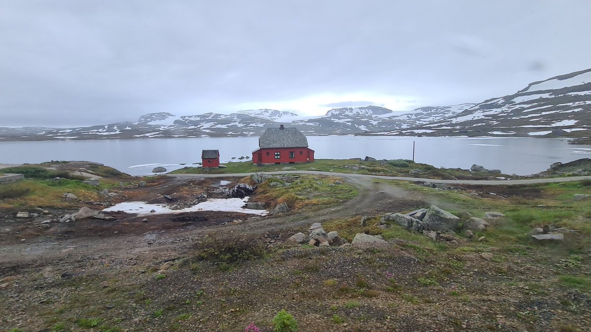Andrew007Uk's tweet photo. Good morning #Finse which at 1,222M is the highest point on the Bergen - Oslo line.

Such a pleasure to travel on a railway service with huge &amp; clean picture windows.

Thank you @vygruppen 🙏🏻- know you'd control the weather too if you could! 🤣

#RailwayJourney https://t.co/xjnwCe4N67
