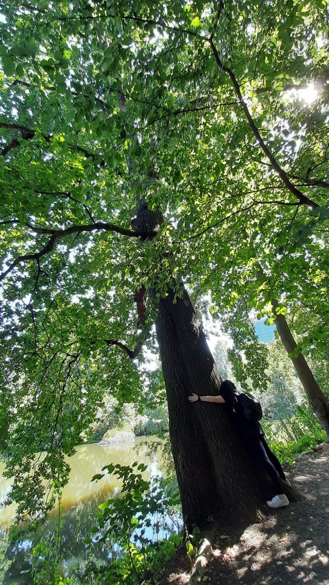 Here's your reminder to hug a tree today🌳🧿✨