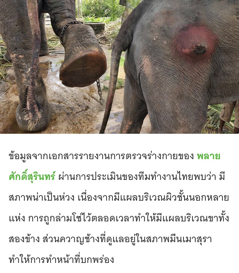 พี่อ้อไม่เป็นมิตรกับติ่ง ปสด tweet media