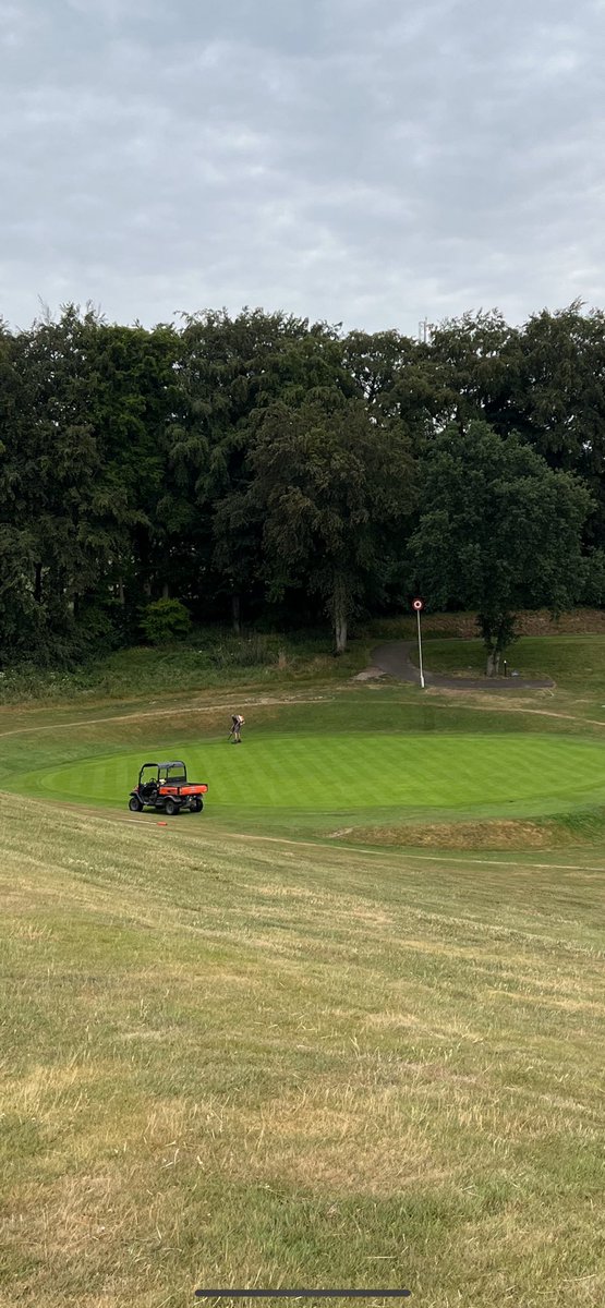 Colin Trebilcock tweet media