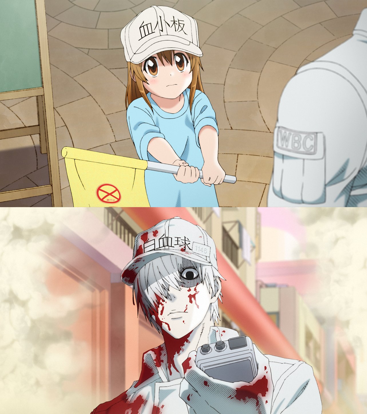 Crunchyroll on X: White Blood Cell to the rescue! 🏃‍♂️ (via Cells at Work!)   / X