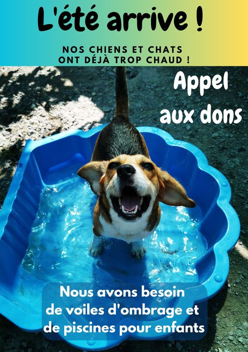 DelavegaPepita's tweet photo. ASPAC - Refuge les Murmures
besoin de voiles d'ombrages et de piscine en plastique (comme sur la photo).
Chemin des Cordées, 17340 Châtelaillon-Plage, 
tel 05 46 56 29 81
#dpt17 #charentemaritime #nouvelleaquitaine https://t.co/x6ti8Wt3px