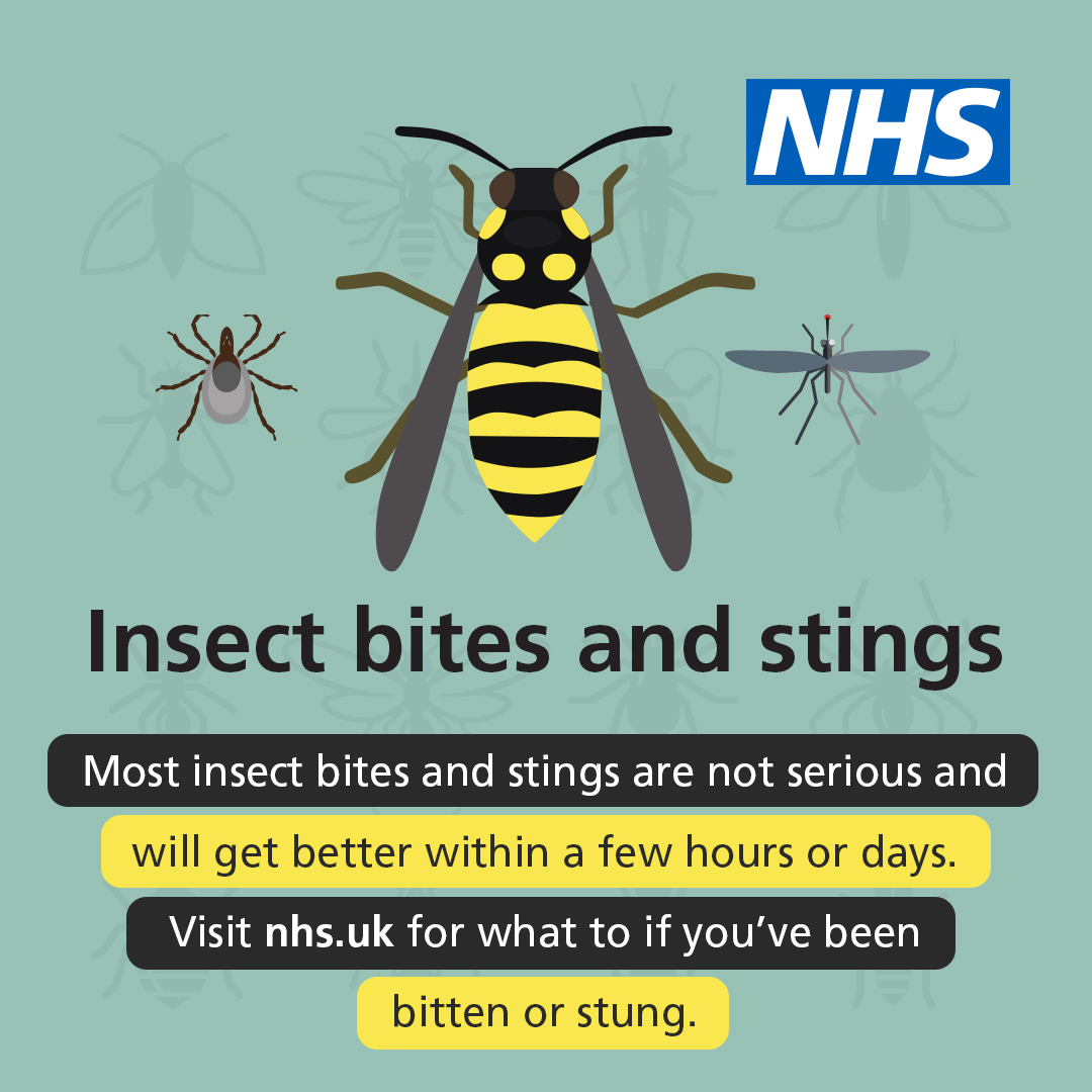 nhsswft's tweet image. Warmer weather is enjoyable for many, but it can also mean an increase in insect bites and stings. 

See our advice on what to do if you've been bitten or stung, and when to get medical advice ➡️ nhs.uk/conditions/ins…