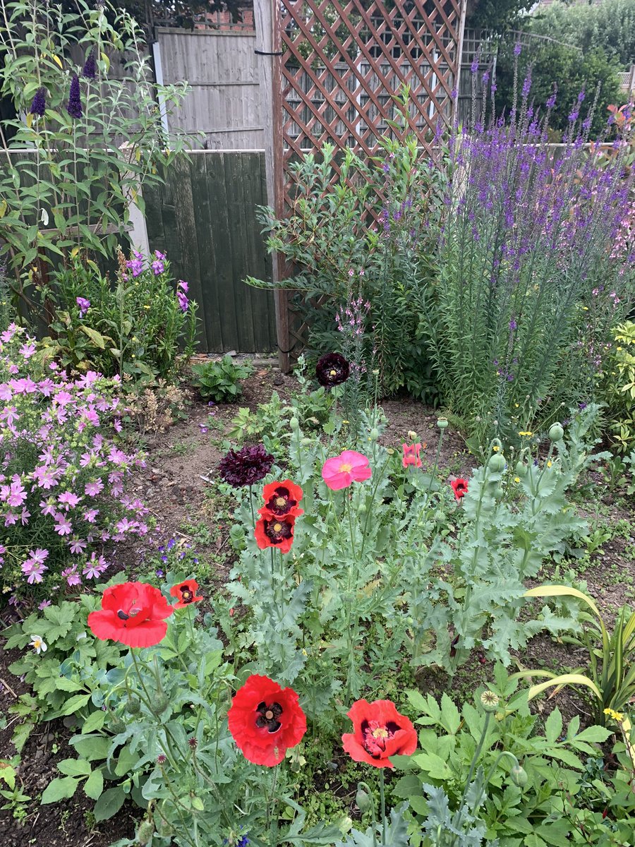 Kath preece tweet media