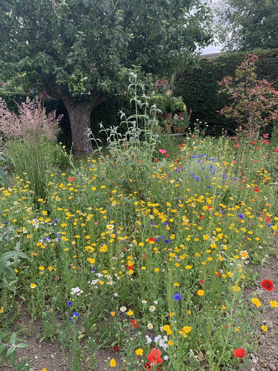 Kath preece tweet media