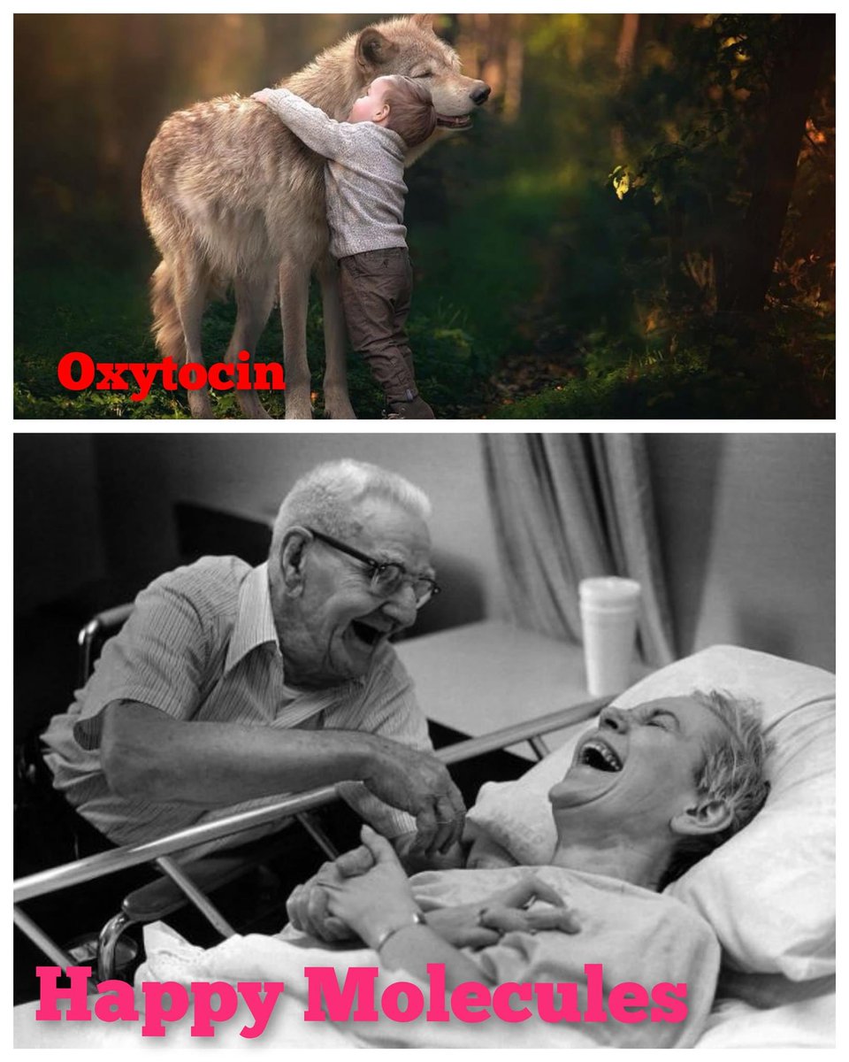 You get what you give. try to offer goodness as it certainly returns back to you.
Happy Molecules
Lifewave.com/Vidapura