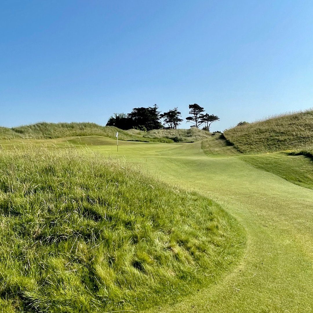 CountyLouthGC's tweet photo. On the hunt for a great round of golf? Look no further than @CountyLouthGC! An ideal destination for golfers of all skill levels. Enjoy panoramic views of the Irish countryside &amp; challenge yourself to a day on the links. #Playgolf #IrishGolf #Linksgolf #Louth #baltray #golf https://t.co/e6UtO6Hqv2