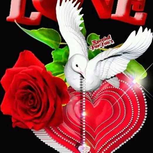 SollomonMitku's tweet photo. #NewProfilePic https://t.co/xDFYVvKa9s