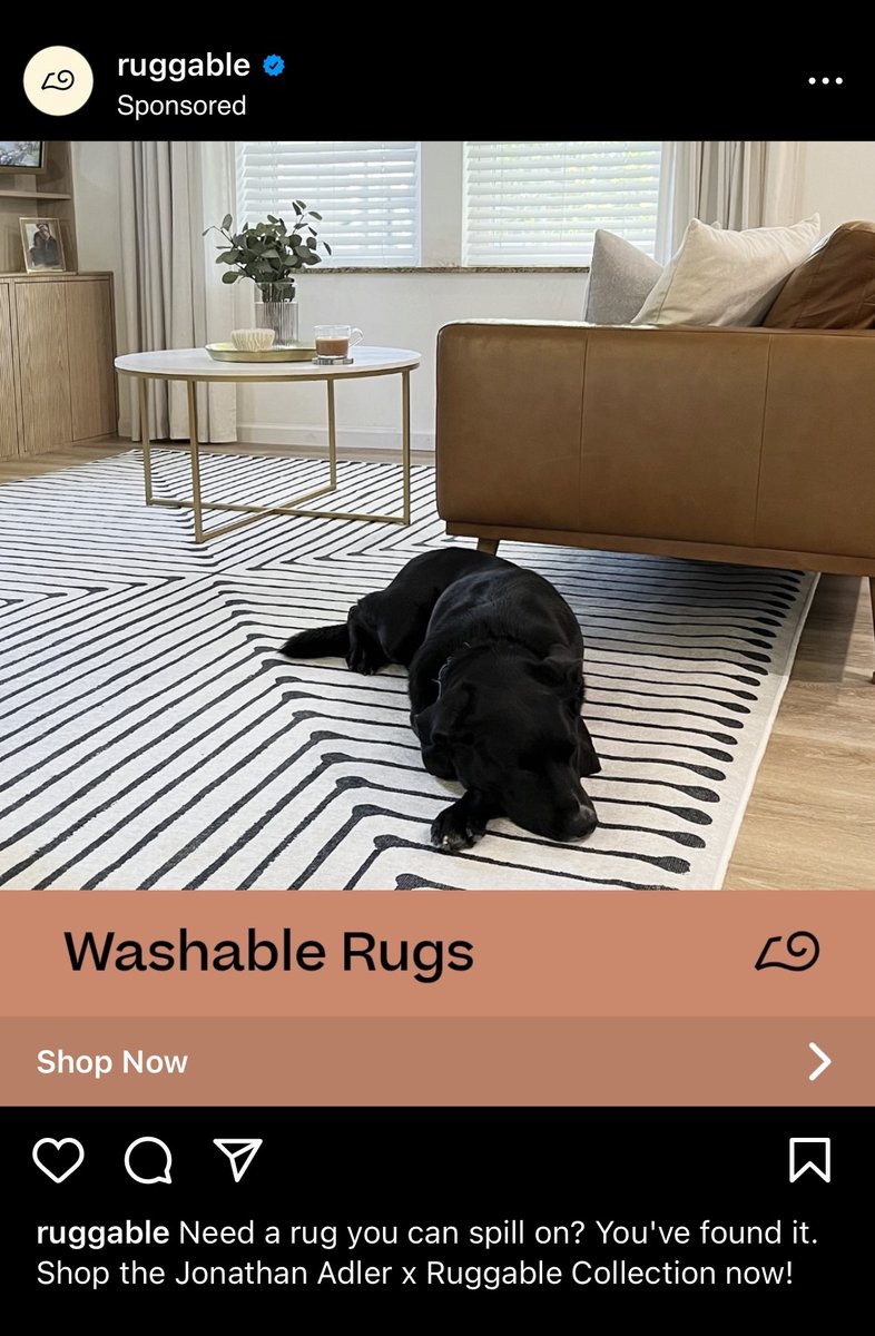 Marcus ツ tweet media