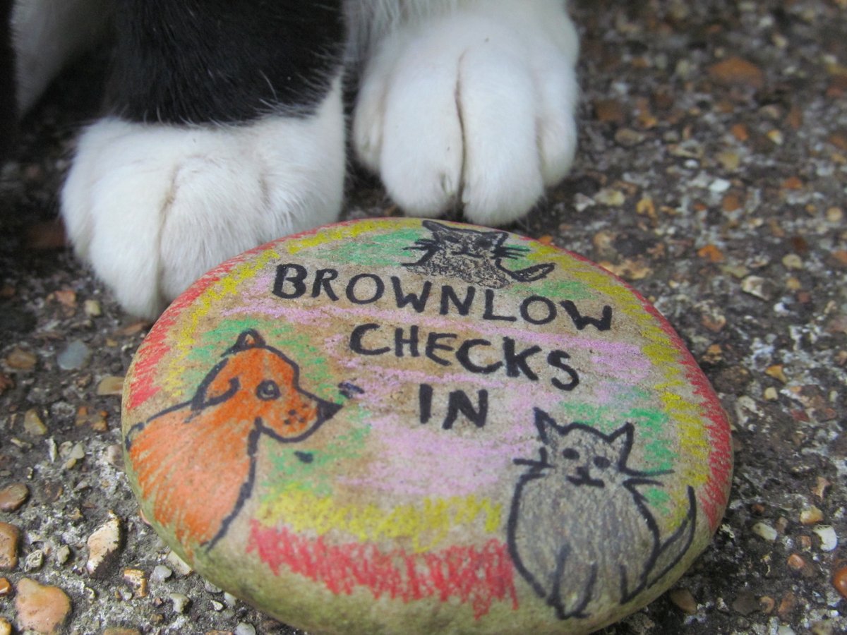 DavidRo02674885's tweet photo. https://t.co/EVPFhdPMdW Check out Brownlow Checks in this summer #summer #summerreads #JudyUpton #JamesHerriott #TVDrama #petdetectives #Kindle #paperback https://t.co/M4VxDIR3K3