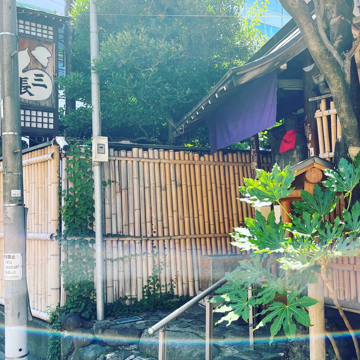 nishishinjuku4's tweet photo. #禁酒中 #リハビリ #筋トレ #運動不足解消 #ランニング #ジョギング #nikerunclub #nikerunning #running #jogging #鍋島松濤公園 #神泉駅 #道玄坂地蔵尊 #千代田稲荷神社 #sunday10k https://t.co/lEo1WzU4FL