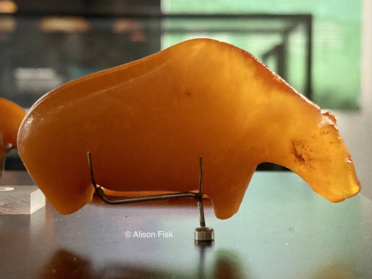 An ancient amber bear. Carved about 10,000 years ago, this magical find washed up on a beach at Fanø in Denmark from a submerged Mesolithic settlement under the North Sea. National Museum of Denmark. 📷 my own

#Archaeology