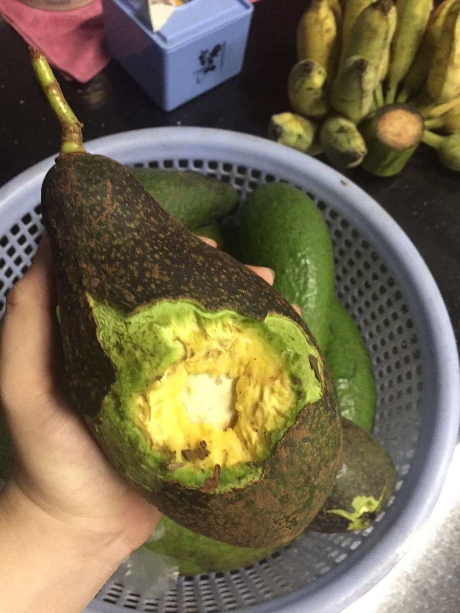 Itower10's tweet image. This avocado taste funny