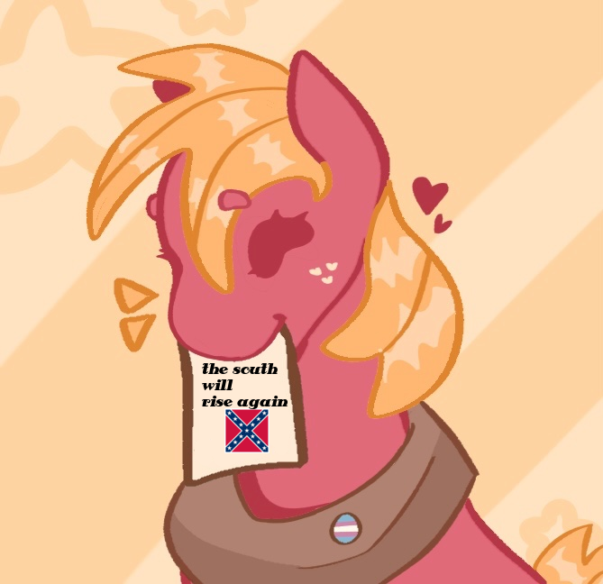 XTheXbladeX's tweet photo. big mac says southern pride https://t.co/nSHokfLxtk