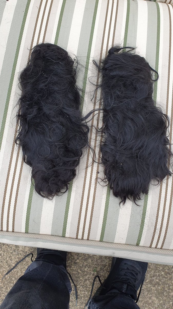 Sophiegroomer gave me a spare set of ears.  👂👂