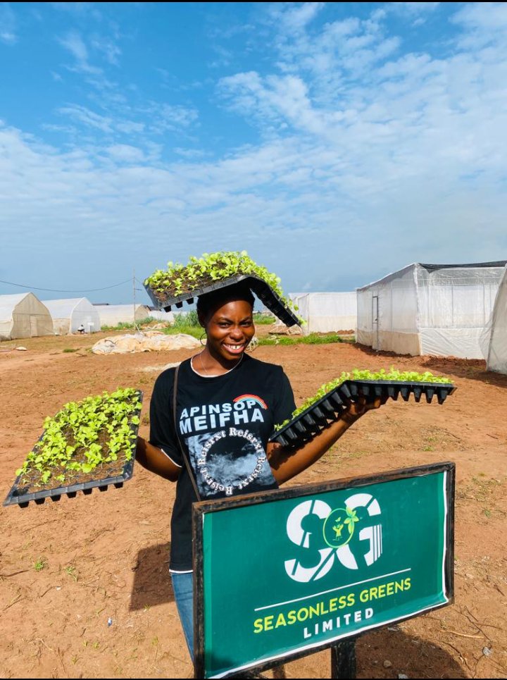 It's transplanting time @ seasonless greens ltd and we are all smiles 😁 Happy Sunday

#farmergirl
#theAfricanWomaninAgric
#lettuce
#seasonlessgreens