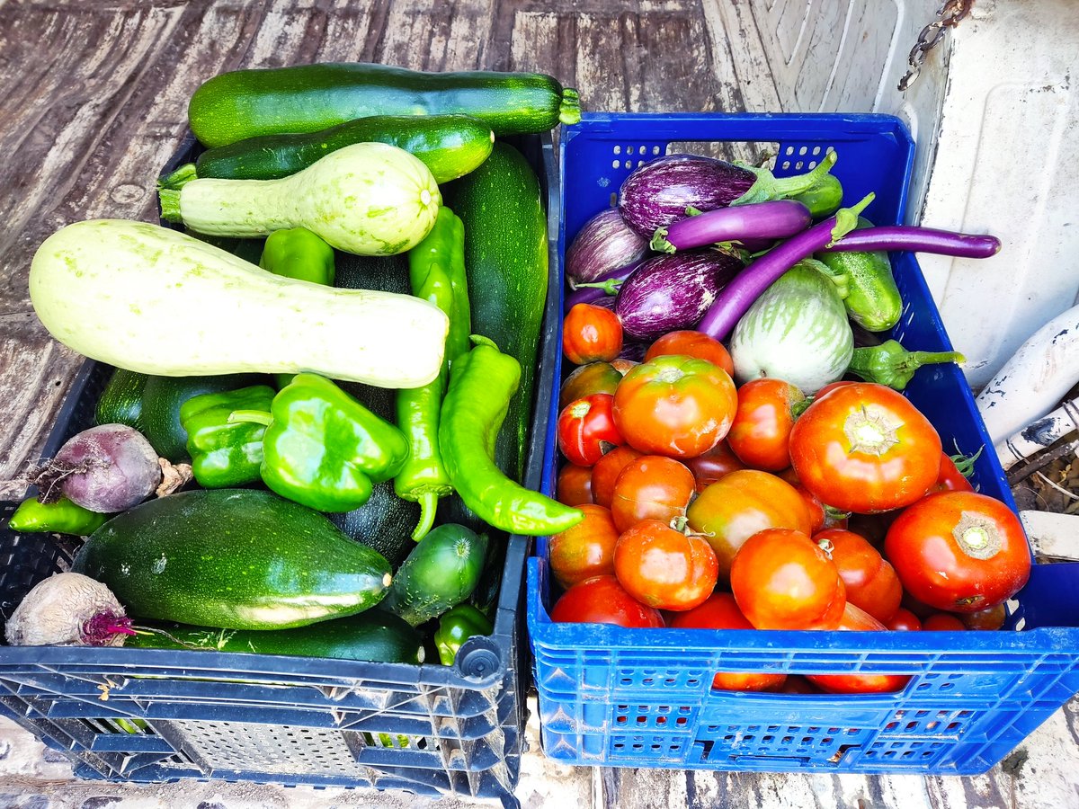 Pep Muñoz Rubio 🍊 tweet media