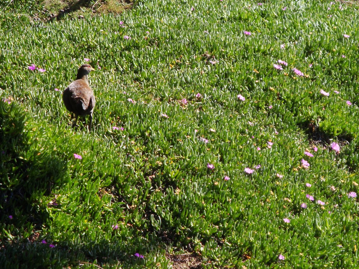 Lucile Lévêque tweet media