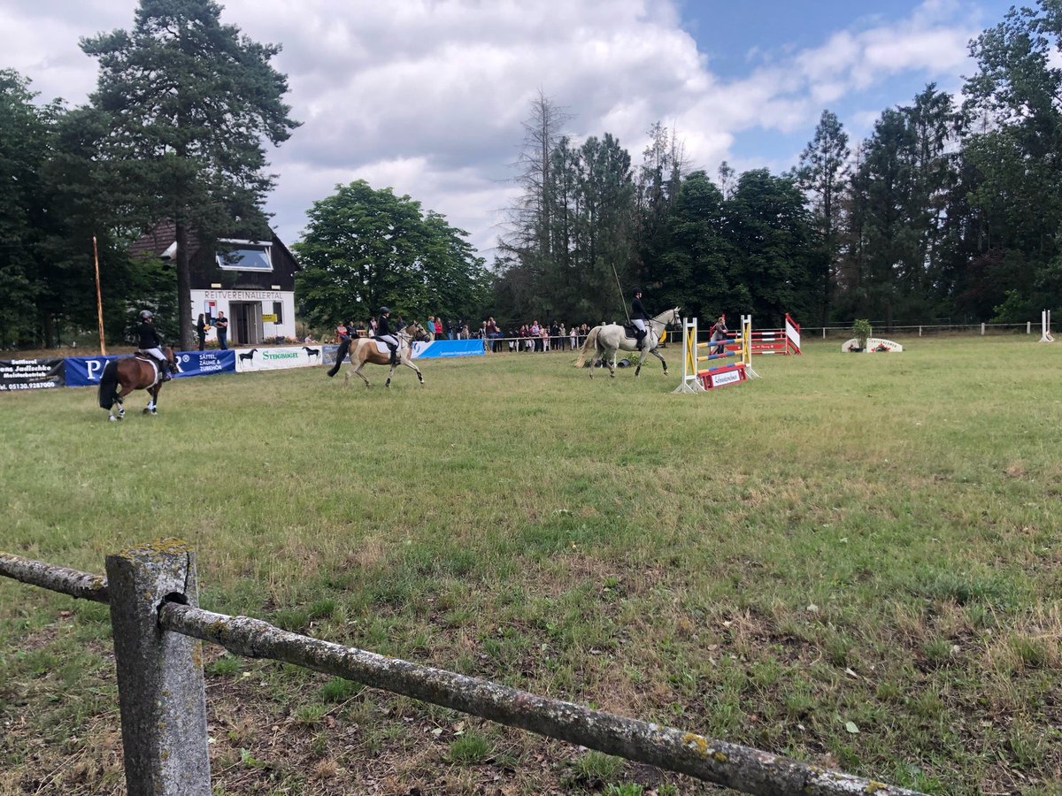 Unser Sonntag steht diese Woche ganz im Zeichen des Pferdesports 🏇 (@ Reitverein Allertal in Winsen) swarmapp.com/c/ikhuPUgayiH